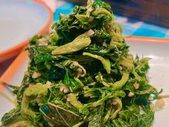 -向外鱼乐·土菜·虹鳟鱼
