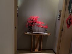 -耳域躺式采耳SPA馆(新街口店)