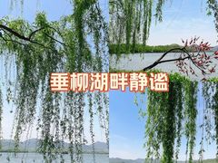 -西湖天地
