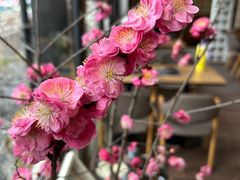 -扫雪煮茶(西村店)