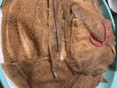 -快乐小羊(富强中路店)