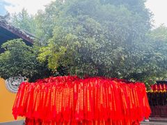 -龙华素斋(龙华路店)