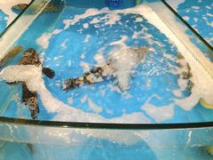 -丁字口海鲜热炒·烧烤大排档