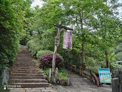 -雁南飞茶田景区