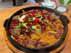 -老板恋上鱼(恒隆广场店)