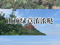 -青礁慈济宫