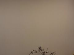 -聆耳·采耳·按摩·SPA(会展中心店)
