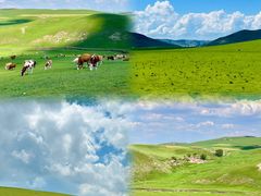 -乌兰布统草原