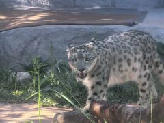-青藏高原野生动物园