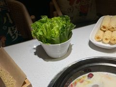 -粤小煲鲜汤猪肚鸡(丹尼斯二天地店)