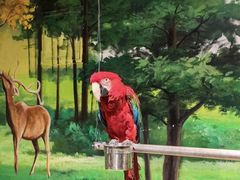 -绿色星球动物主题公园