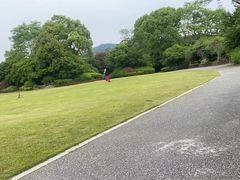 -桃花岛景观公园