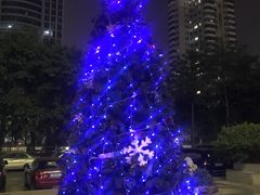 -润园四季椰子鸡火锅(海上世界店)