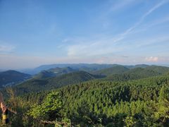 -武陵山森林公园