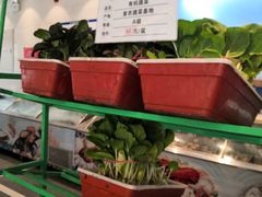 -山东宾馆·齐鲁苑餐厅