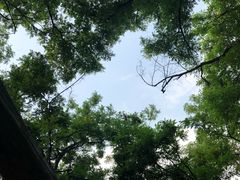 -封龙山风景区