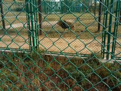 -鄂尔多斯野生动物园