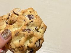 -CHOCMONS巧克怪兽(屏风街店)
