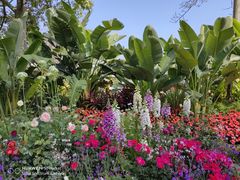 -深圳国际园林花卉博览园