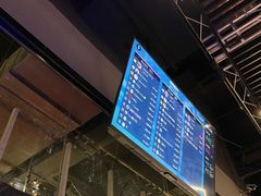 -魔赛卡丁车赛车汇(上海店)