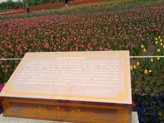 -廊坊文化艺术中心