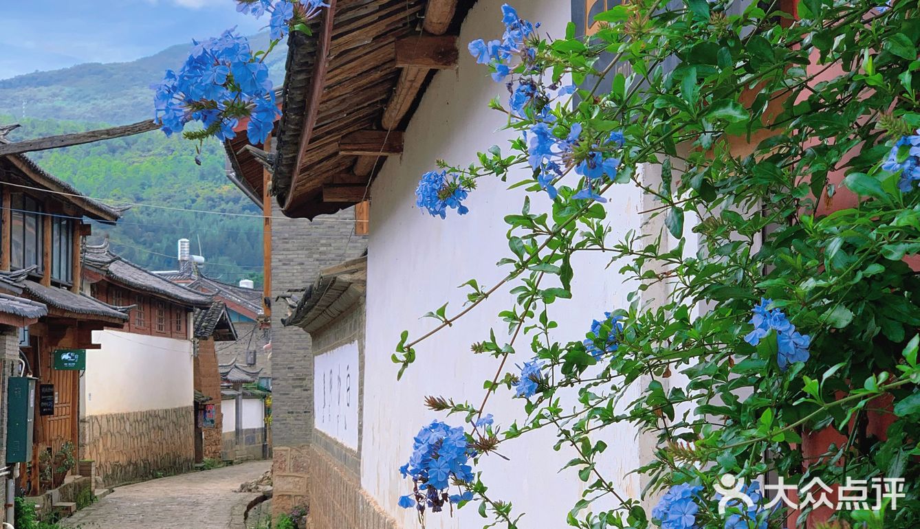 旅行地打卡｜丽江古城自由行｜丽江避坑记