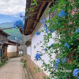 旅行地打卡｜丽江古城自由行｜丽江避坑记