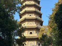 -灵谷景区