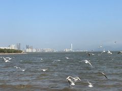 -深圳湾公园(南山区)