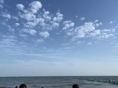 -小叶大馅饺子城