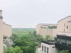 -上海崇明金茂凯悦酒店