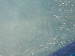 -广州融创水世界