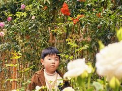 -人民公园(罗湖区)