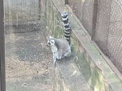 -昆明动物园