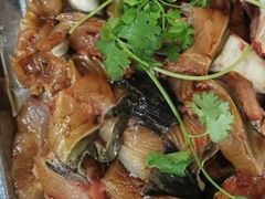 石锅江团-秦巴石锅鱼(文化南路店)