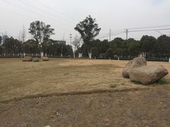 -九里河湿地公园