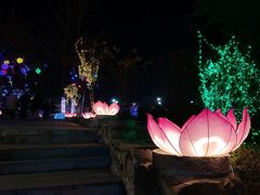 -禅宗少林·音乐大典