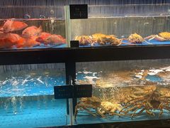 -徐记海鲜(南油永新汇店)