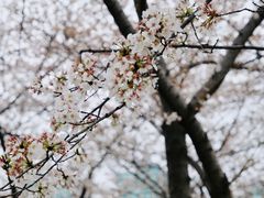 -西北湖绿化广场