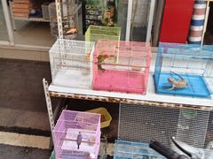 -苏州市皮市街花鸟工艺品市场
