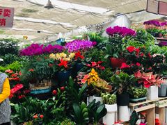 -秦美花卉(天朗·莱茵小城2期店)