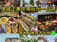 -丰依竹食·老牌竹筒饭