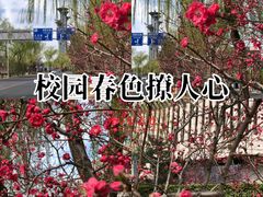 -新奥购物中心