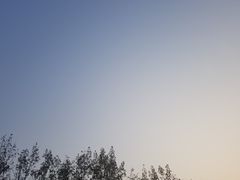 -万达广场(龙湖店)