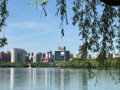 -天鹅湖体育公园