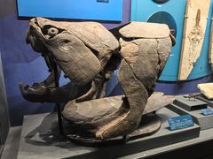 -国家自然博物馆