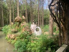 -东平国家森林公园