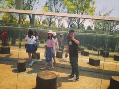 -武清南湖绿博园