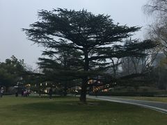 -御花园·粤菜·海鲜火锅(中山公园店)