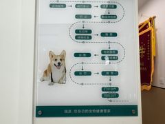 -瑞派康怡24h宠物医院·犬猫医疗中心·微创绝育(瑞景分院)